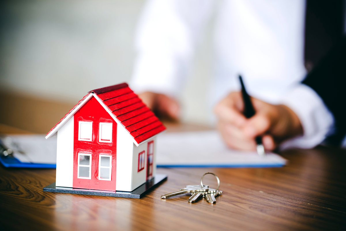 immobilier & gestion locative