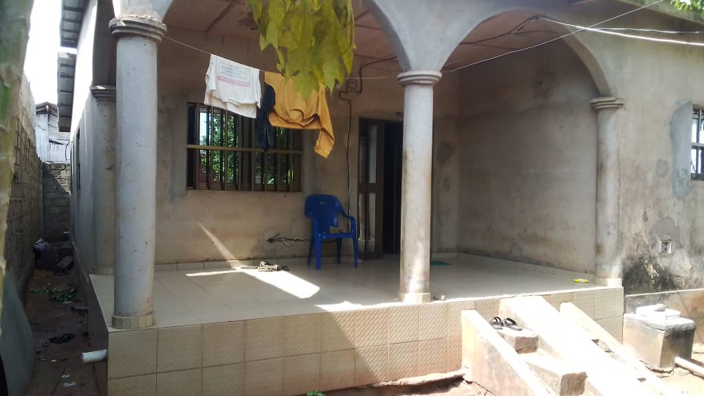 whatsapp image 2025 12 24 at 16.25.56 (1)