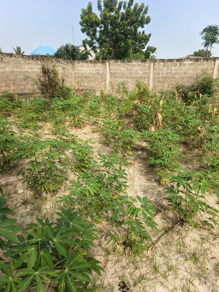 whatsapp image 2026 03 18 at 13.11.15